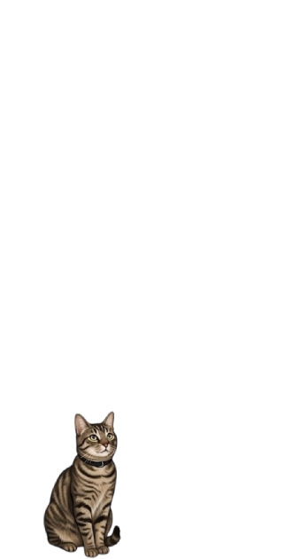 Bex Kitty
