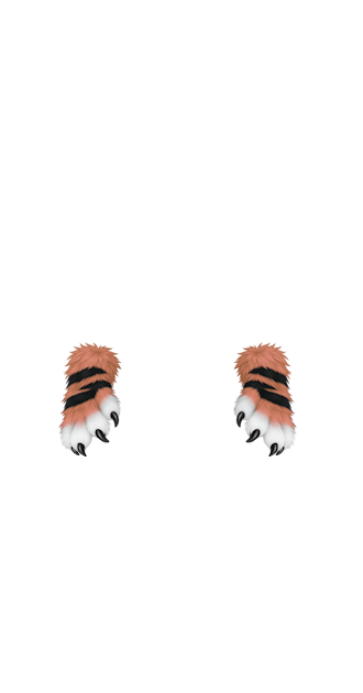 Orange Furry Paws