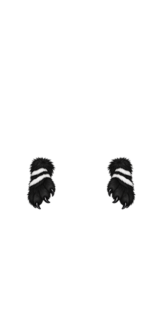 Black Furry Paws