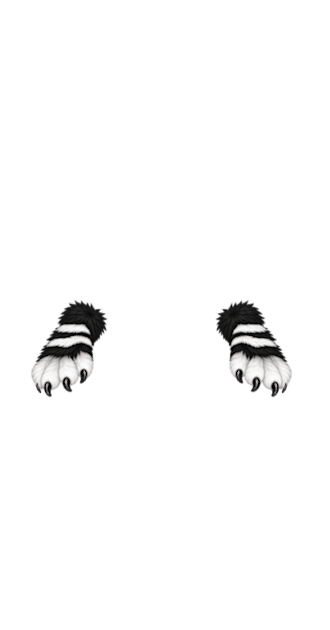 Black & White Furry Paws [F]