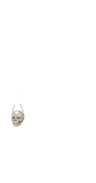 Bag Skull