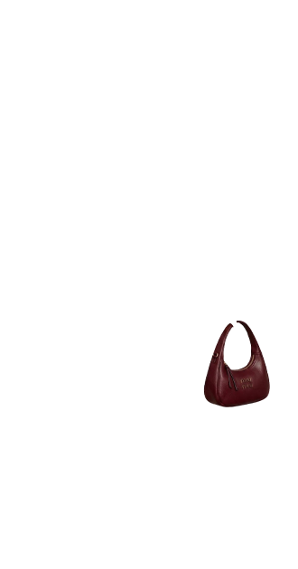 Miu Miu bag (anti skin)