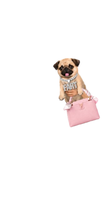 Puggsie FART