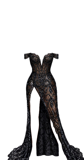 Midnight Illusion Gown