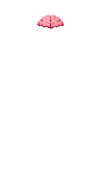Brain