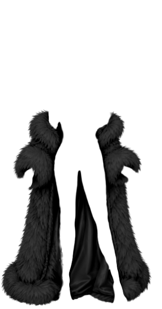 Sally Black Fur
