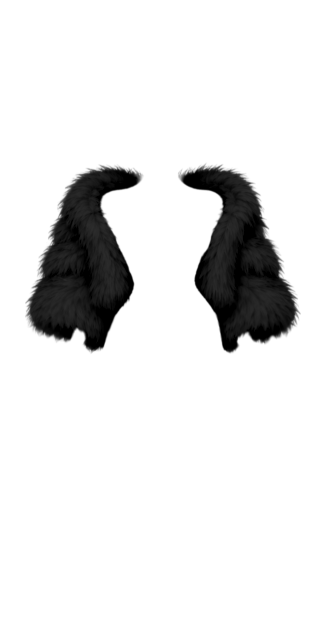 Luxy Black Fur