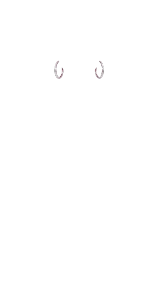 Diamond Hoops