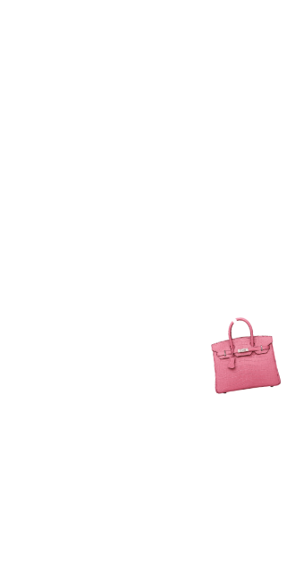 Pink Crocodile Birkin
