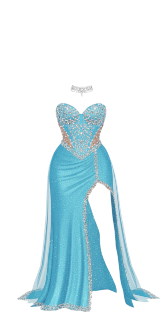 Embellished Gown