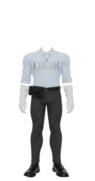 Dior w Gloves