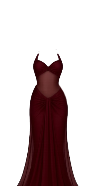 Ruby Veil Silk Gown