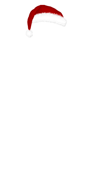 Red Santa Hat