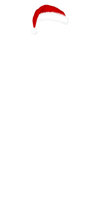 Red Christmas Hat (Female)