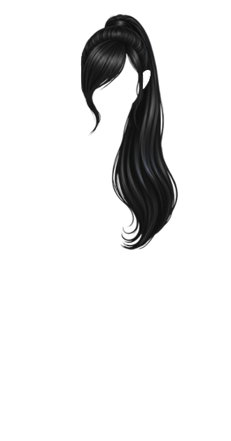 Black Ponytail