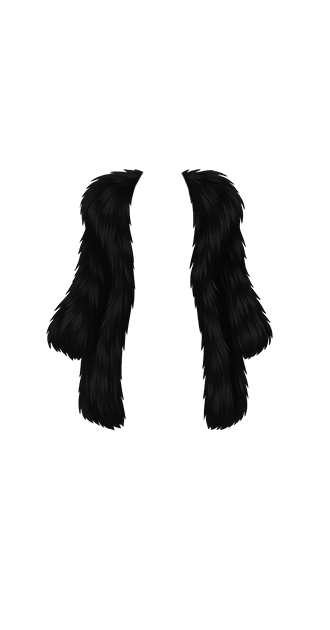 Black Fur Coat