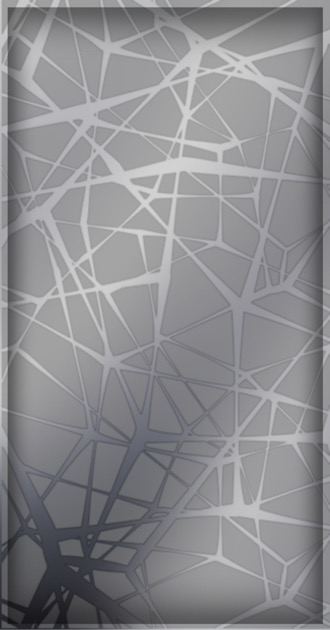 Silver Web with Border