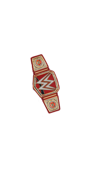 WWE Belt (shoulder, unisex)