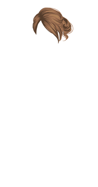 Light Brown Runway Updo