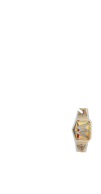WWE Womens Championship Belt