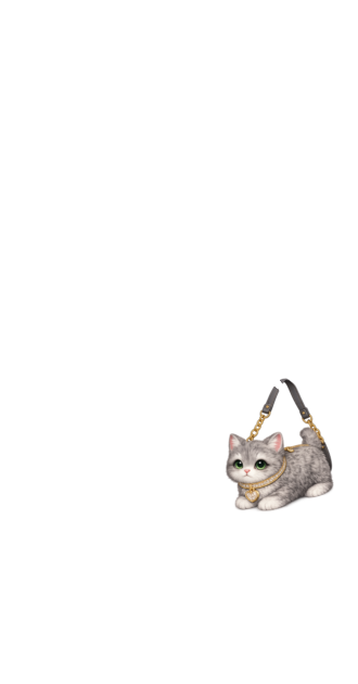 Plush Bag Cat