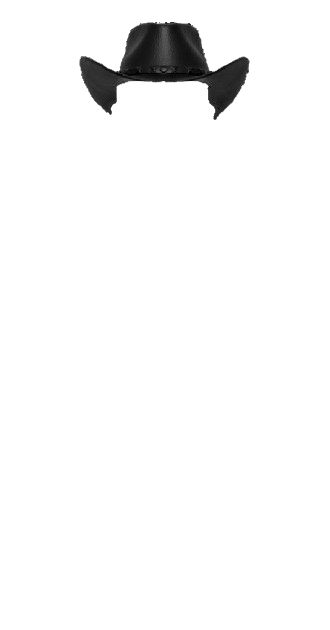 (MALE) Black Cowboy Hat