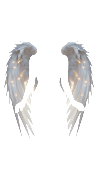 Angel Wings - HER