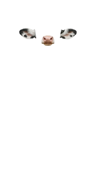 piggy goes oink chicken goes cluck cluck cow goes moooooo and i love you mooooooo