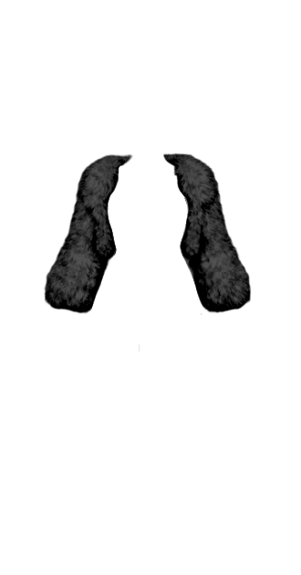 Samantha Black Fur Coat