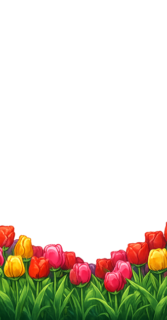 Tulips FG
