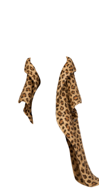 Foxy Leopard Coat