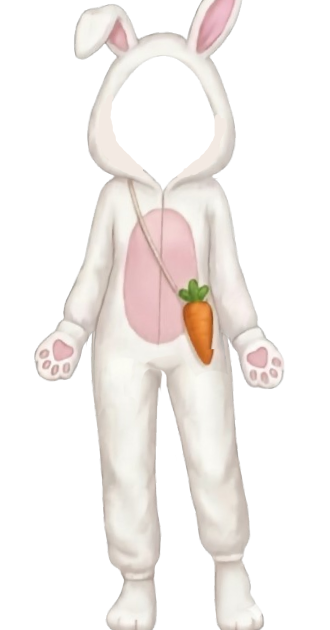 Bunny Outfit