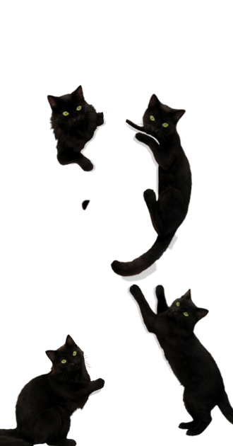 The Black Jackets (F)