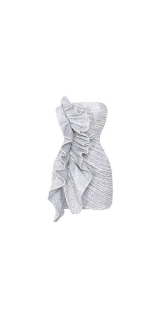 Silver Extravaganza Dress