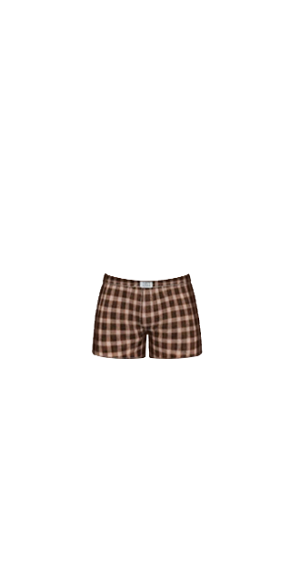 Brown Boxers