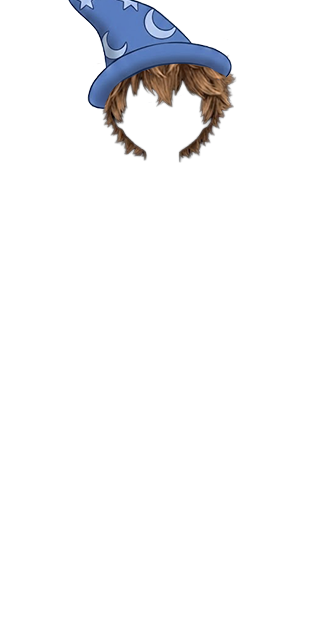 Wizard Hat Brown Hair