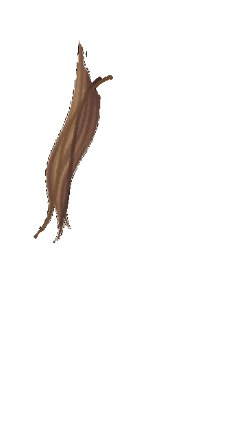 Ponytail in the wind 2 (Light brown)