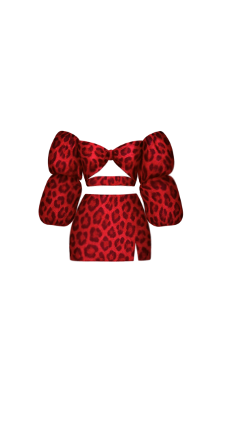 Zoe Red Leopard Set