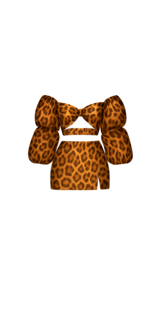 Zoe Classic Leopard Set