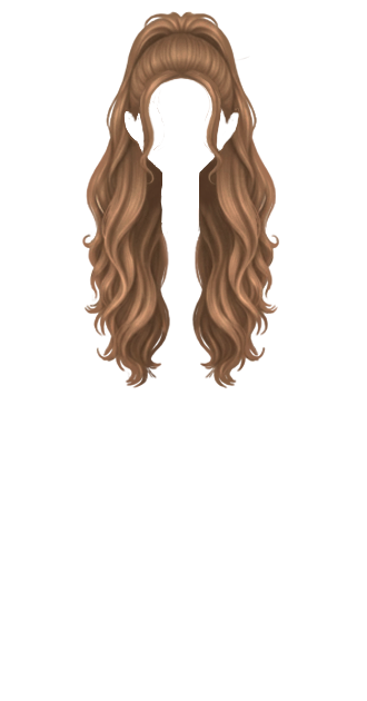 Light Brown High Ponytail