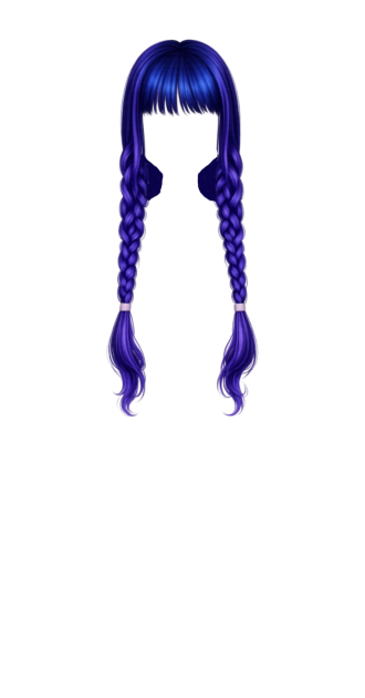 Purple blue braids