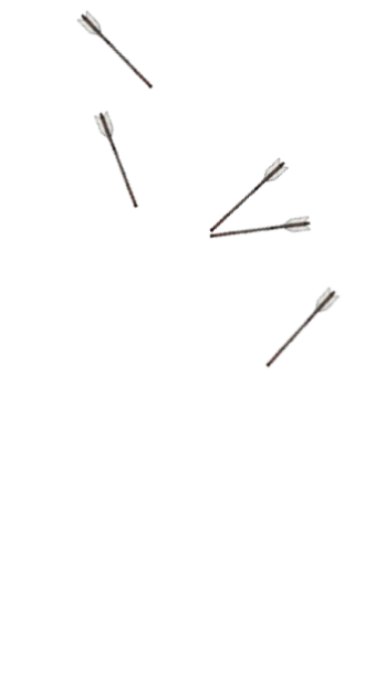 Arrows