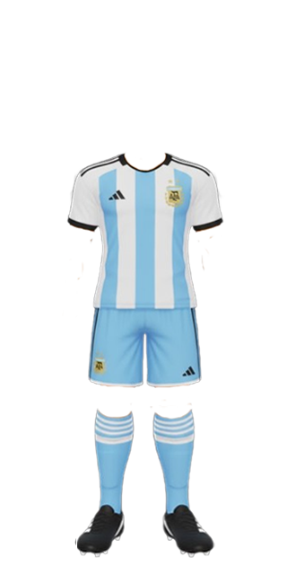 FIFA SOCCER TEAM ARGENTINA